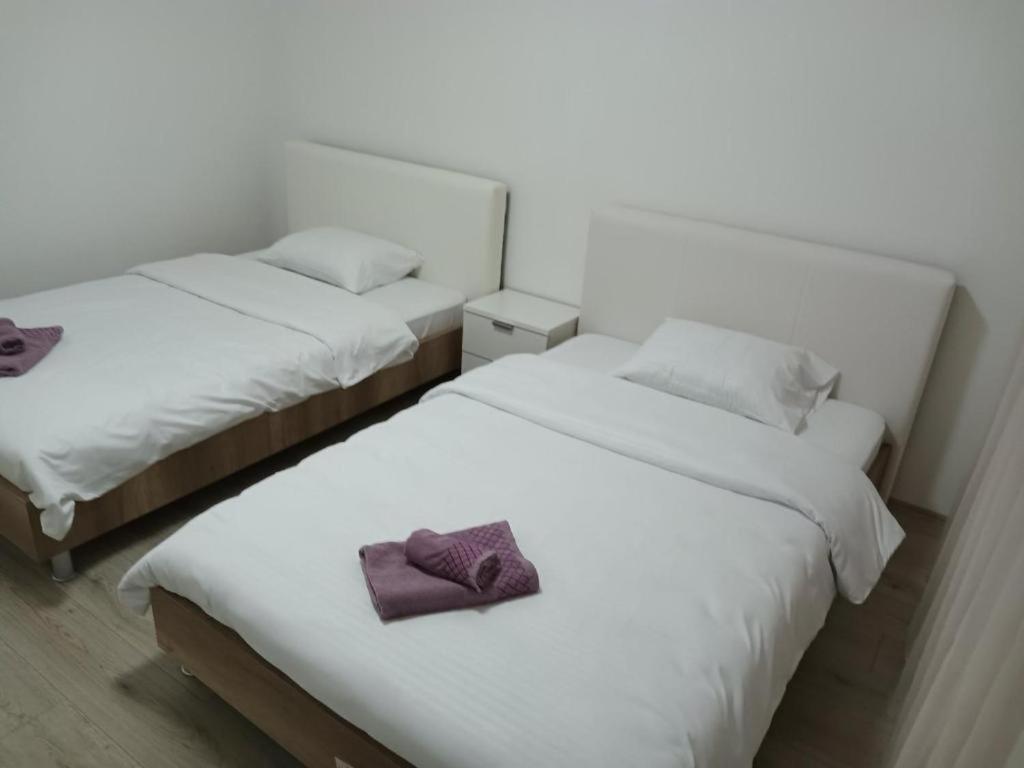 Lovely Square Apartment Purple Velvet スコピエ 部屋 写真