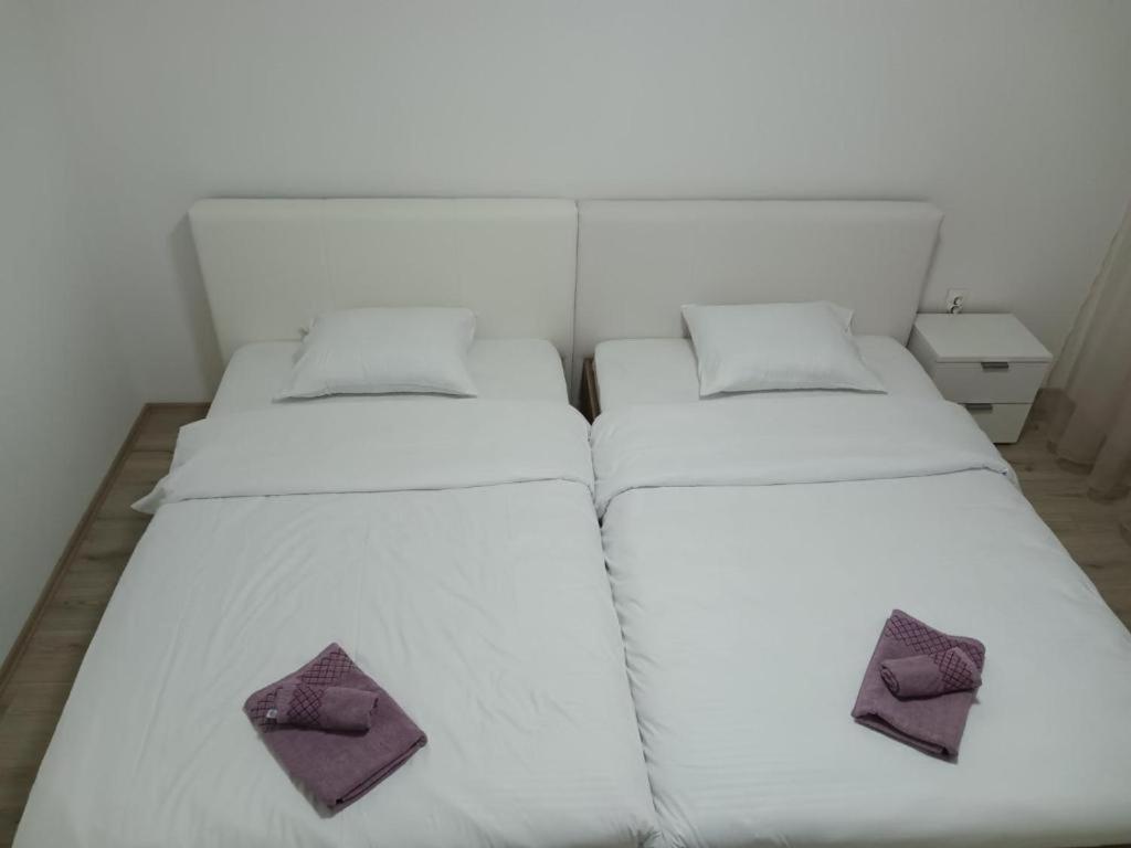 Lovely Square Apartment Purple Velvet スコピエ 部屋 写真