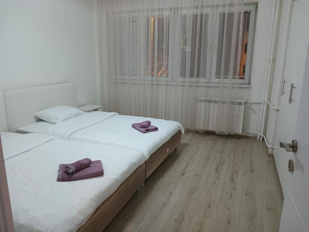 Lovely Square Apartment Purple Velvet スコピエ 部屋 写真