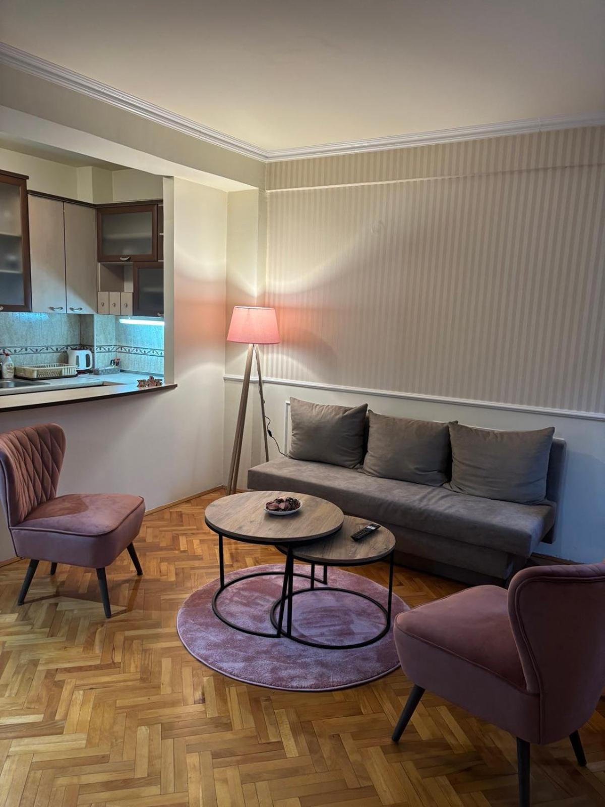 Lovely Square Apartment Purple Velvet スコピエ エクステリア 写真
